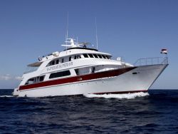 Red Sea Liveaboard OFFERS Red Sea Liveaboard OFFERS
